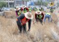 Atienden más de 80 kilómetros entre camellón central y laterales de la carretera Transpeninsular y retiran 220 toneladas de residuos en Los Cabos