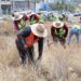 Atienden más de 80 kilómetros entre camellón central y laterales de la carretera Transpeninsular y retiran 220 toneladas de residuos en Los Cabos