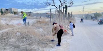 Programa de Empleo Temporal refuerza limpieza y desazolve en Cabo San Lucas; retiran más de 400 toneladas de residuos
