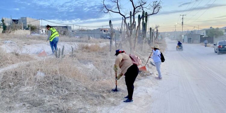 Programa de Empleo Temporal refuerza limpieza y desazolve en Cabo San Lucas; retiran más de 400 toneladas de residuos