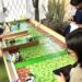 COSHCYTI concluye taller de robótica; participan 20 niñas, niños y adolescentes