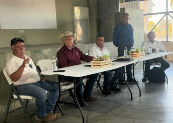 Impulsará Gobierno de BCS estrategias de comercialización del higo blanco en Vizcaíno