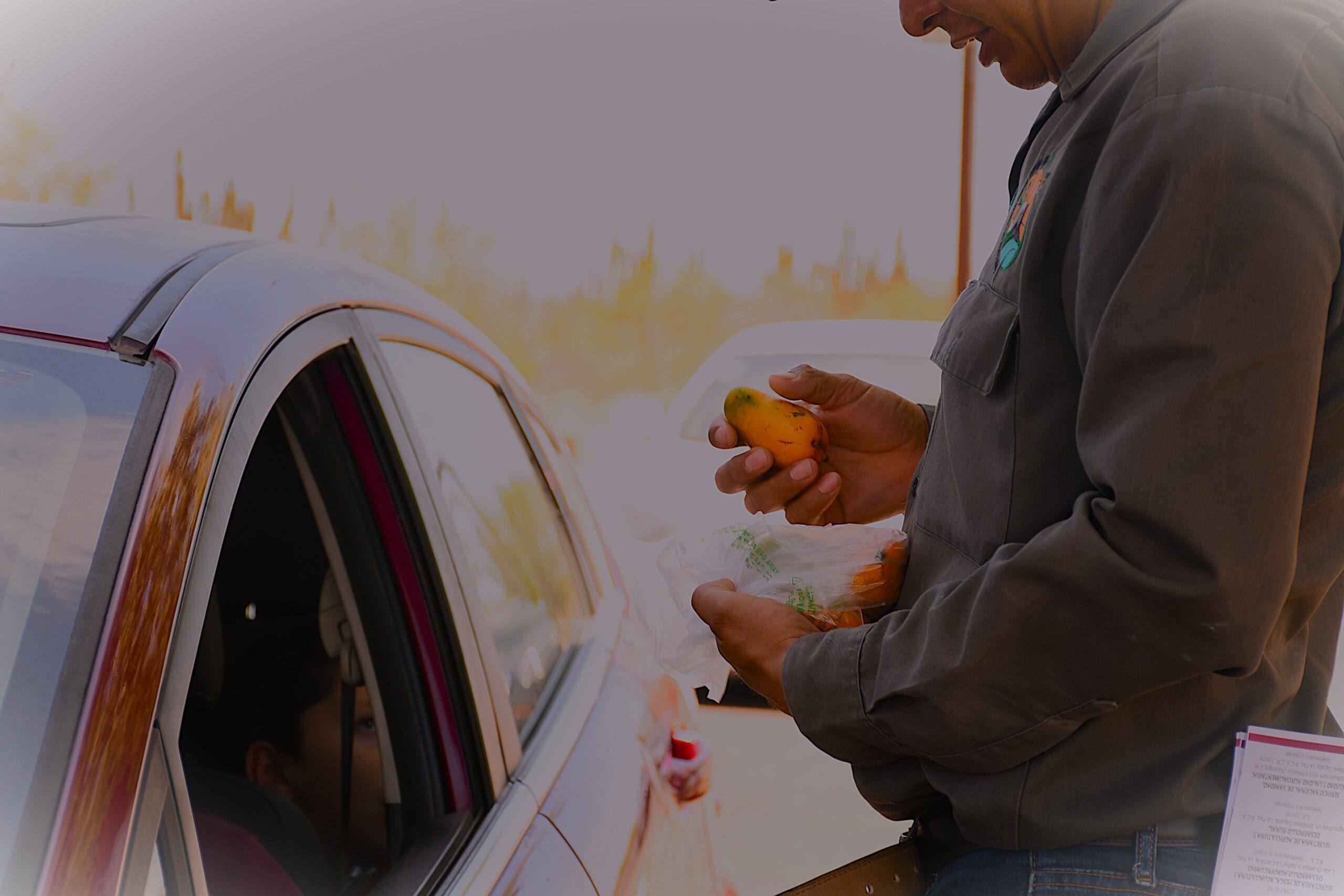 Gobierno de BCS trabaja en acciones para salvaguardar la sanidad vegetal