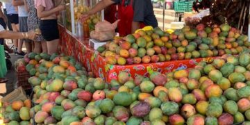 Gobierno Municipal de La Paz invita a celebrar el XVII Festival del Mango en Todos Santos 