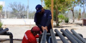 Ayuntamiento de La Paz impulsa en Los Dolores producción de alimentos sostenibles 