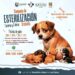 Anuncian campaña gratuita de esterilización canina y felina en Cabo San Lucas