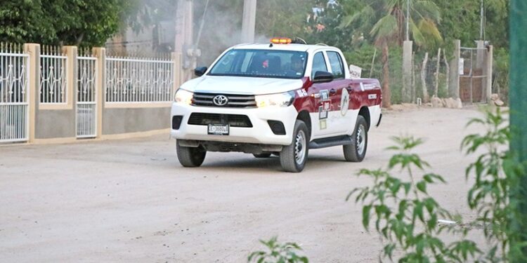Inicia Salud estatal jornadas de fumigación contra el dengue en La Paz y Los Cabos