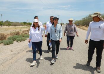 Continúa Ayuntamiento de La Paz acciones preventivas del Operativo Huracanes 2026 en El Carrizal