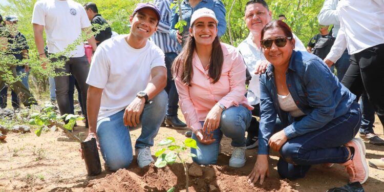 Se suma Ayuntamiento de La Paz a Jornada Nacional de Reforestación de Claudia Sheinbaum