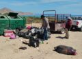 Zofemat La Paz retira más de 49 toneladas de basura en playas durante verano 2026