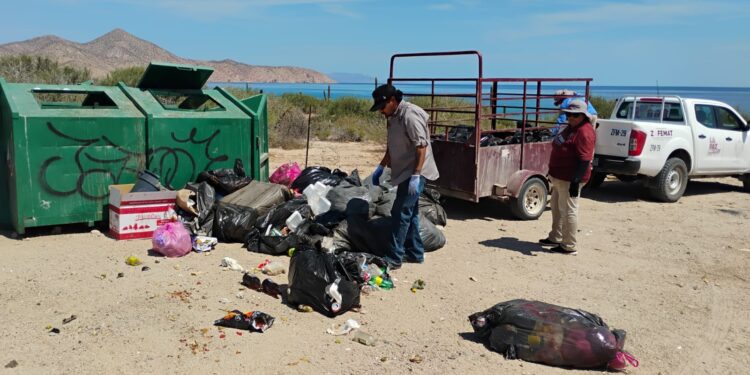 Zofemat La Paz retira más de 49 toneladas de basura en playas durante verano 2026