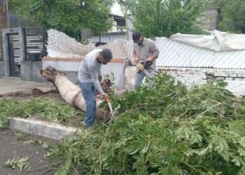 Continúan los trabajos de limpieza en el municipio de La Paz