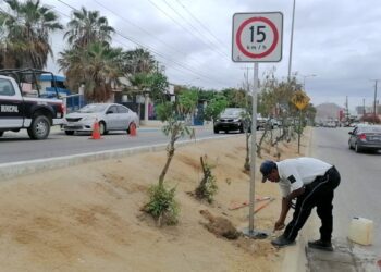 Tránsito Municipal instala señalización y rehabilita cruces peatonales en Los Cabos