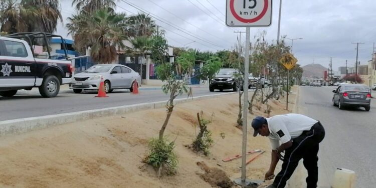 Tránsito Municipal instala señalización y rehabilita cruces peatonales en Los Cabos