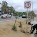 Tránsito Municipal instala señalización y rehabilita cruces peatonales en Los Cabos