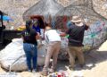 Retira Zofemat Los Cabos 125 kilos de PET para reciclaje en playa El Chileno