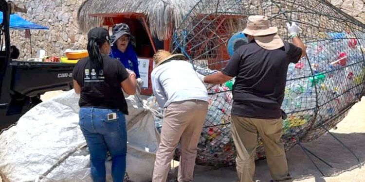 Retira Zofemat Los Cabos 125 kilos de PET para reciclaje en playa El Chileno