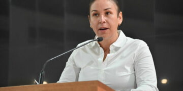 Proponen evaluar la eficacia del tratamiento psicológico para agresores domésticos