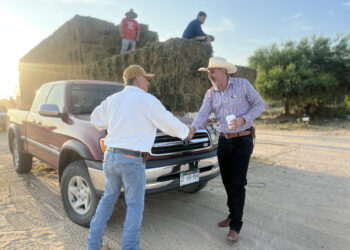 Ayuntamiento de Los Cabos fortalece al sector pecuario con entrega de alfalfa a bajo costo en La Ribera