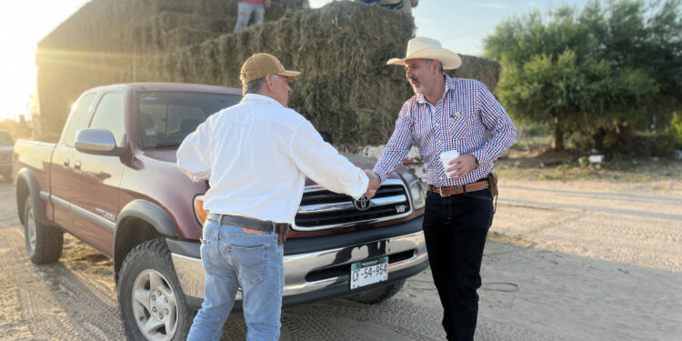 Ayuntamiento de Los Cabos fortalece al sector pecuario con entrega de alfalfa a bajo costo en La Ribera