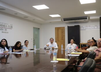 Trabaja BCS en la conformación de una Comisión de Primera Infancia: SIPINNA