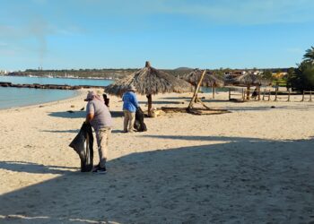 Recolectan más de 6 toneladas de residuos en playas de La Paz
