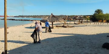 Recolectan más de 6 toneladas de residuos en playas de La Paz