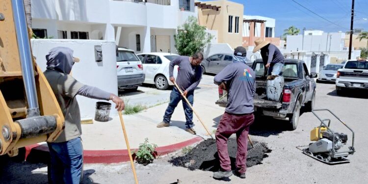 Continúan trabajos de bacheo y rehabilitación de vialidades en Los Cabos