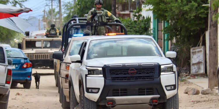 Refuerzan perifoneo preventivo en colonias de Cabo San Lucas