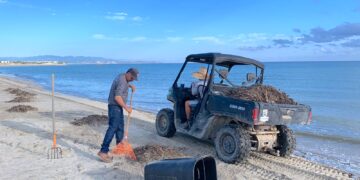 Refuerzan limpieza y recolección de residuos en playas de La Ribera