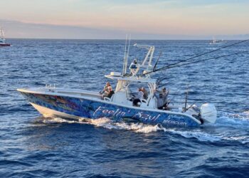 Refrenda Gobierno de Los Cabos compromiso con la pesca deportiva en arranque de Bisbee’s Offshore