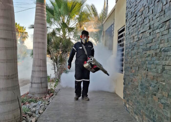 Refuerza Salud estatal acciones contra el dengue en Ciudad Constitución