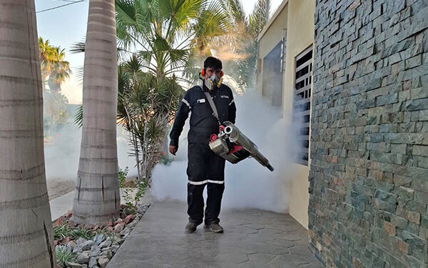 Refuerza Salud estatal acciones contra el dengue en Ciudad Constitución