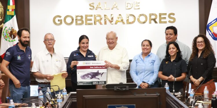 Atestigua Víctor Castro entrega de 112 distintivos para actividades de avistamiento y nado con tiburón ballena en La Paz