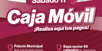 Ayuntamiento de La Paz instalará cajas móviles adicionales para pago del Predial