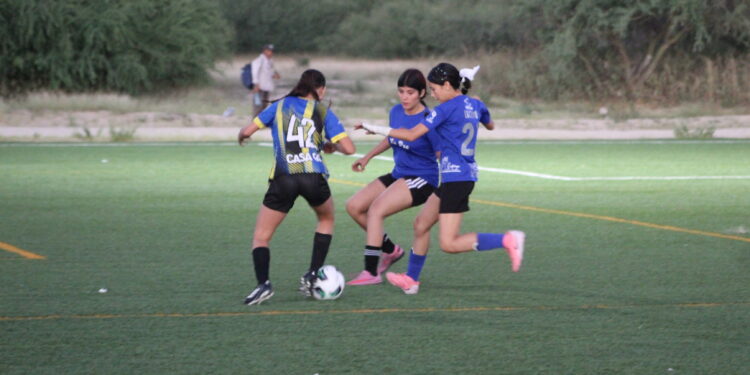 Inscribe La Paz a 183 deportistas para primera etapa de Olimpiada Estatal 2026