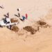 ZOFEMAT Los Cabos refuerza limpieza de playas con 120 elementos; superan 25 toneladas de lirio acuático retiradas