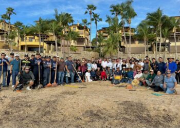 Realizan jornada de limpieza y concientización en zona costera de Cabo San Lucas tras lluvias