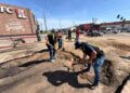 Continúa Ayuntamiento de Los Cabos programa de bacheo en Cabo San Lucas
