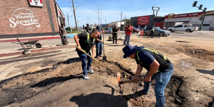 Continúa Ayuntamiento de Los Cabos programa de bacheo en Cabo San Lucas